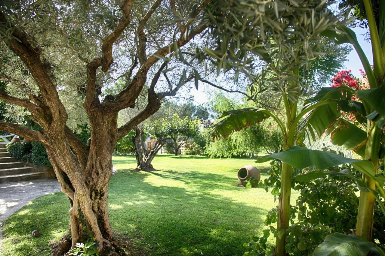 Bastide Sainte Agnes Bed & Breakfast Carpentras Bagian luar foto